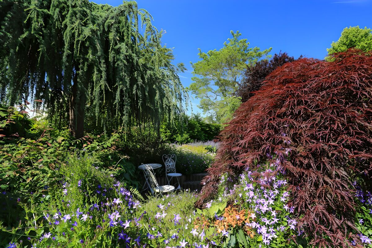 TPFR66685: Jardin fleuri sous un ciel bleu