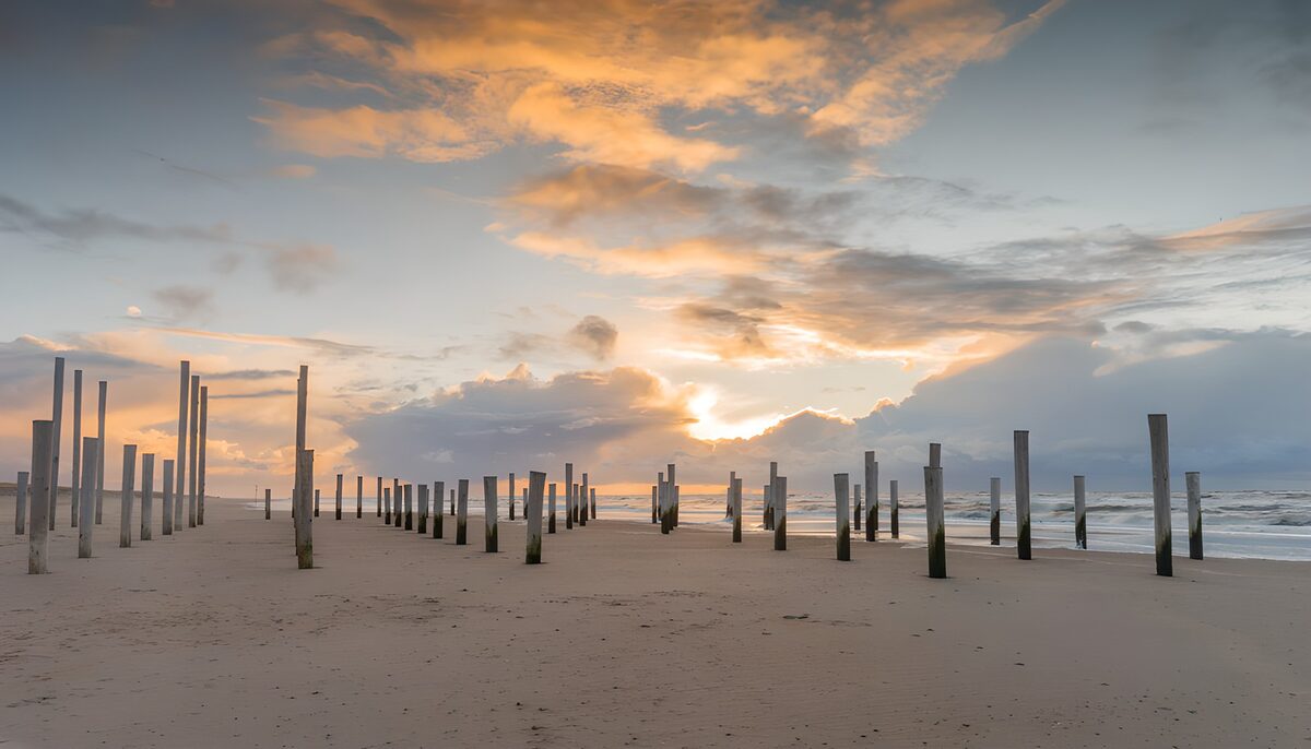 TPFR53936: Pieux au coucher de soleil sur la plage