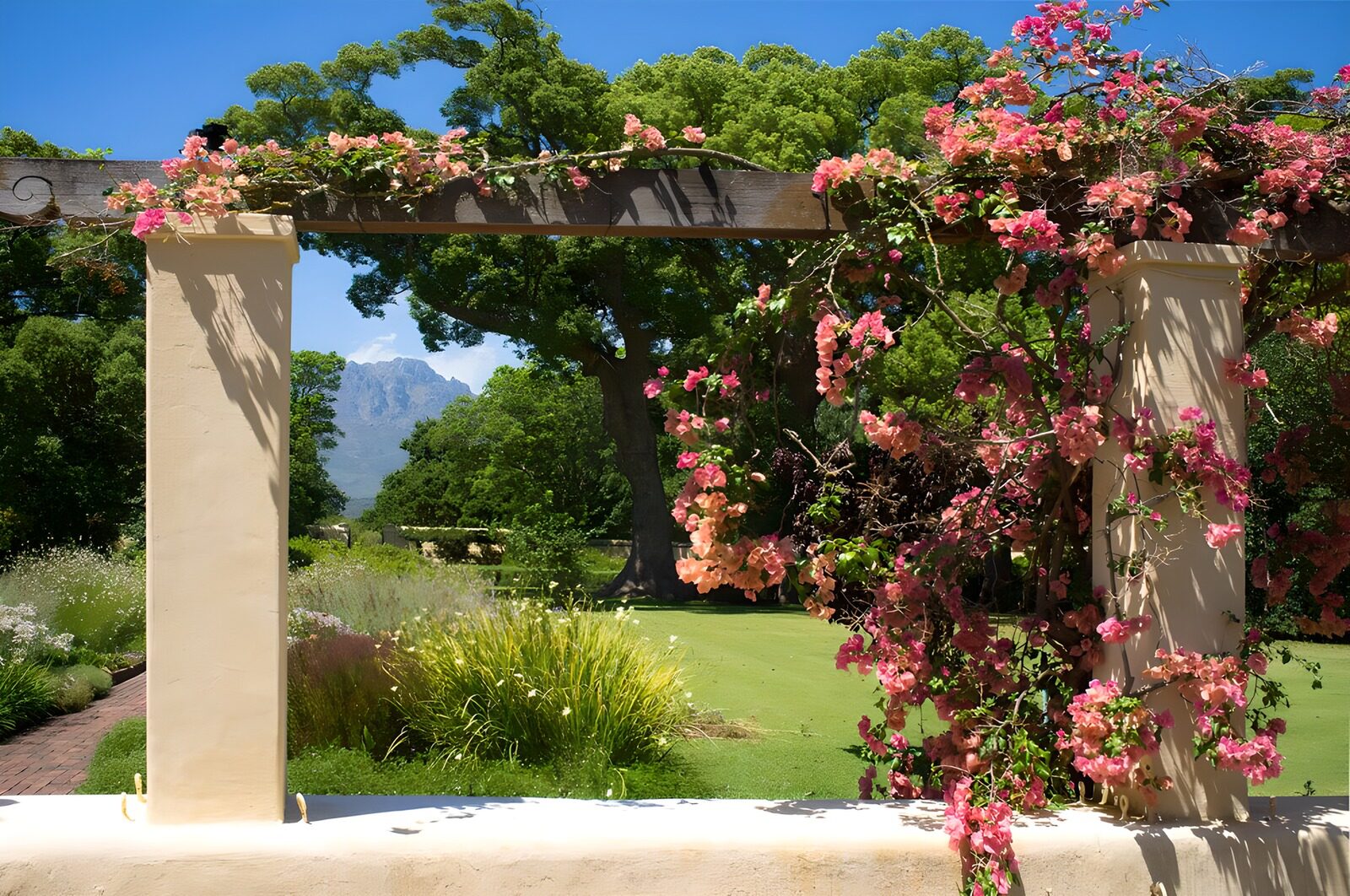 TPFR40563: Jardin fleuri sous le ciel bleu