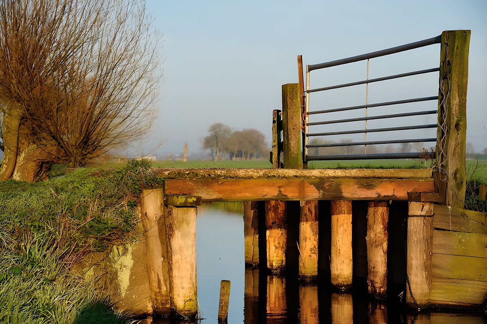 TPFR13834: Passerelle en bois au bord de l'eau