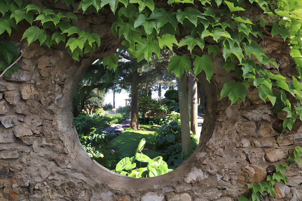 TPFR66739: "Vue circulaire sur un jardin verdoyant"