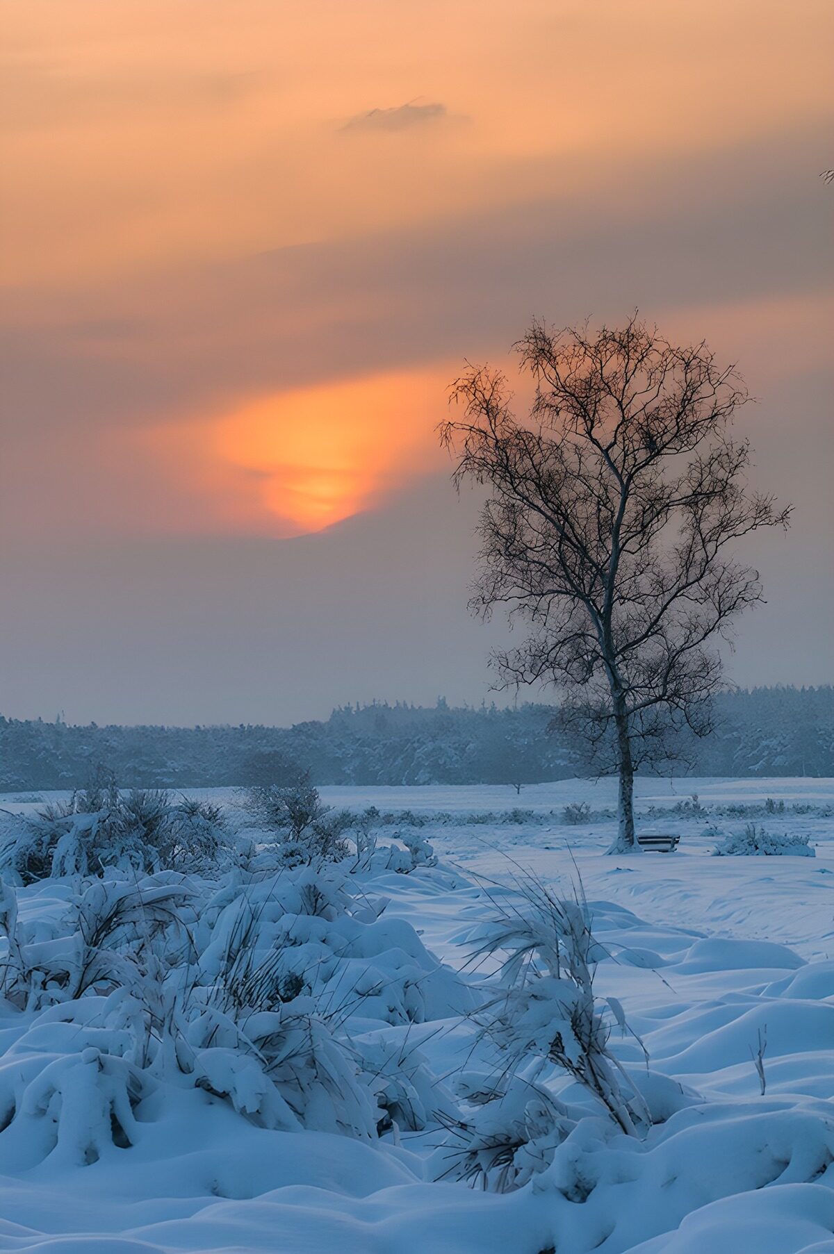 TPFR32174: Un coucher de soleil d'hiver
