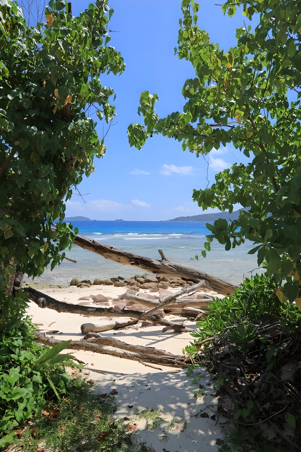 TPFR19654: Vue paradisiaque sur la plage isolée