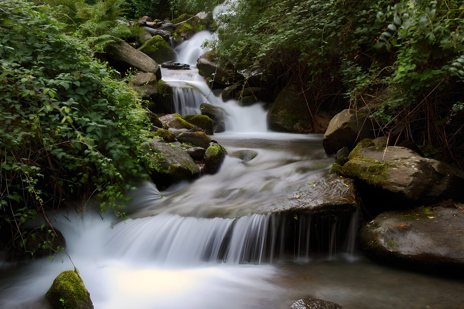 TPFR41170: Cascade paisible en nature verdoyante