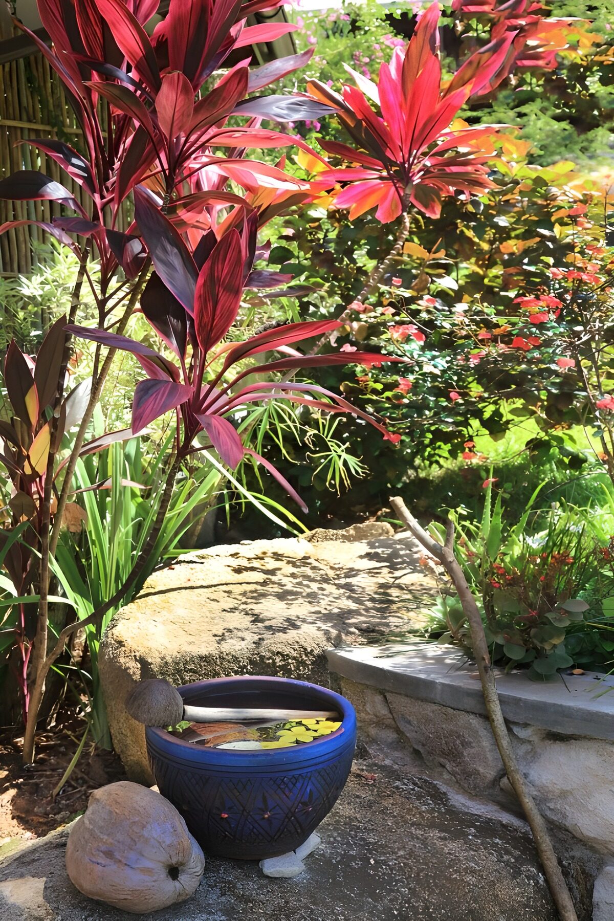 TPFR26786: Jardin paisible avec bassin décoratif