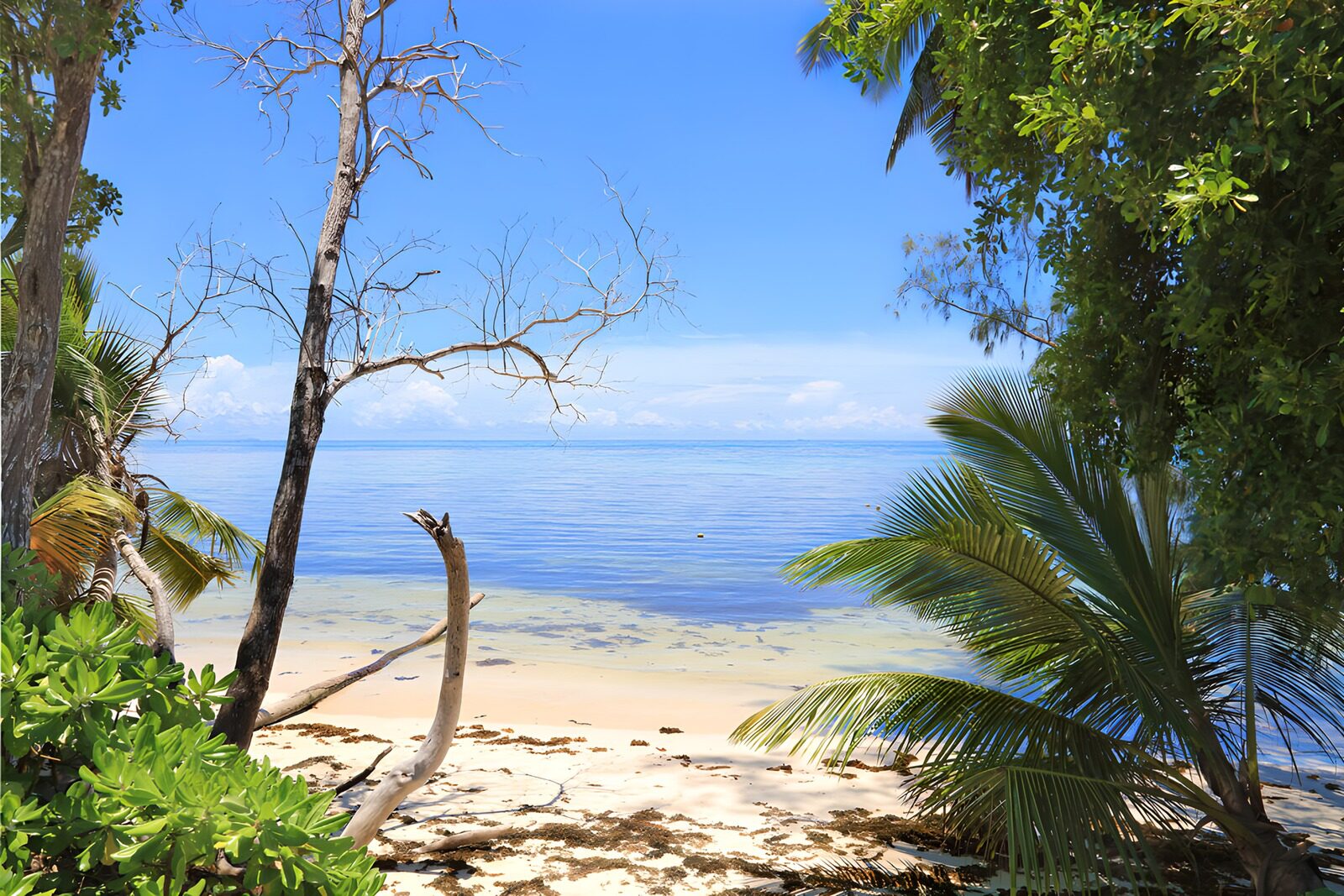 TPFR96281: Plage sereine sous le ciel bleu