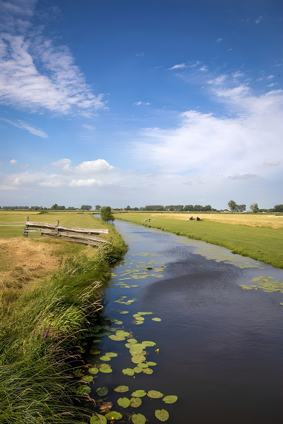 TPFR76370: Rivière tranquille sous le ciel bleu