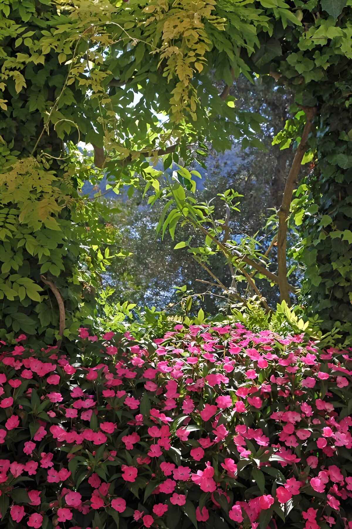 TPFR51039: Jardins fleuris sous un ciel bleu