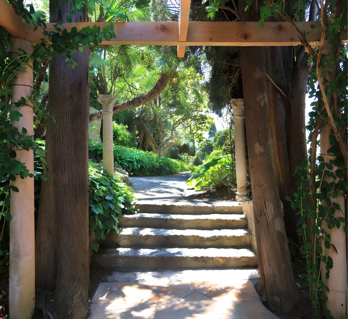 TPFR43397: Sentier paisible dans un jardin luxuriant