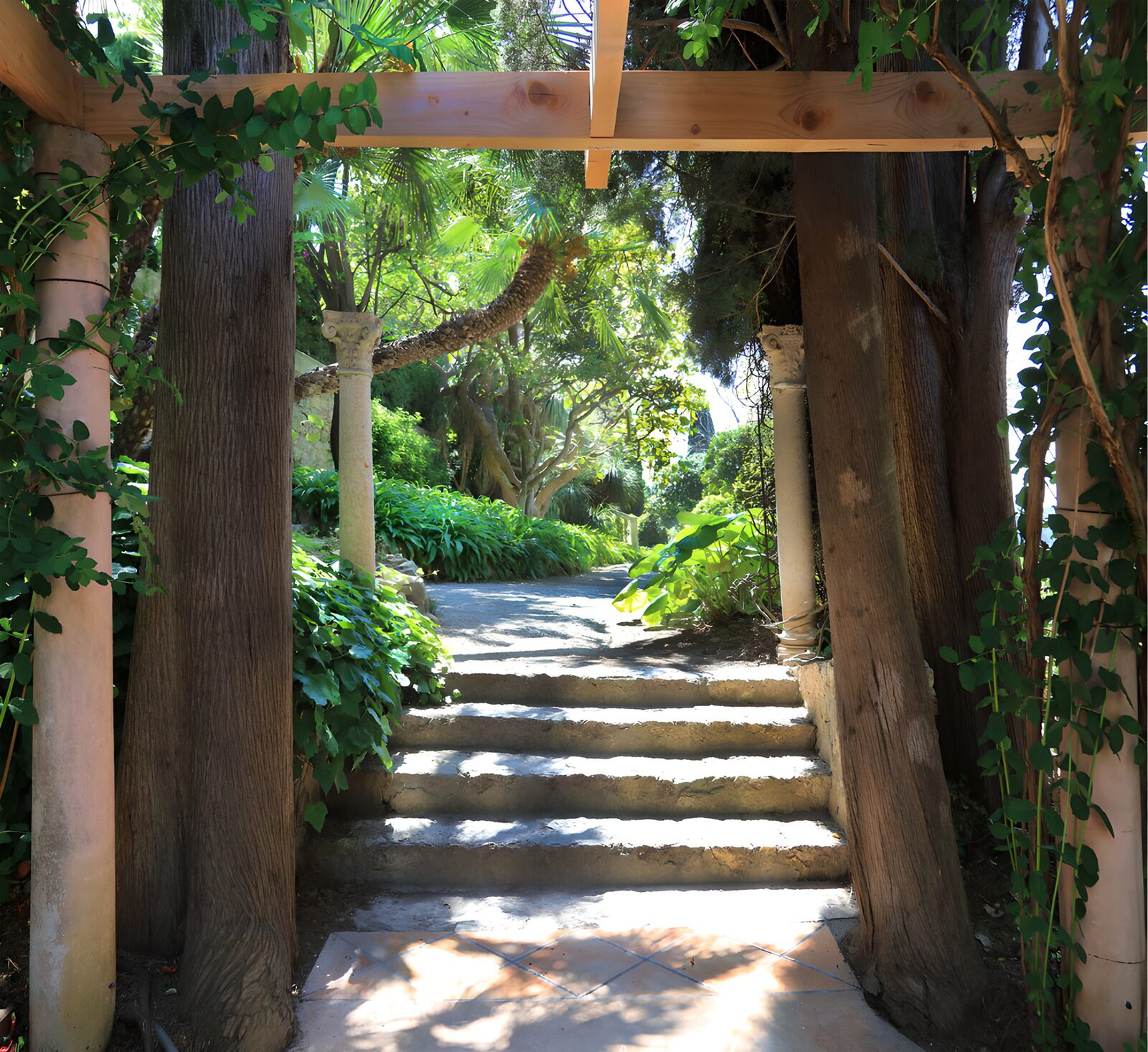 TPFR43397: Sentier paisible dans un jardin luxuriant