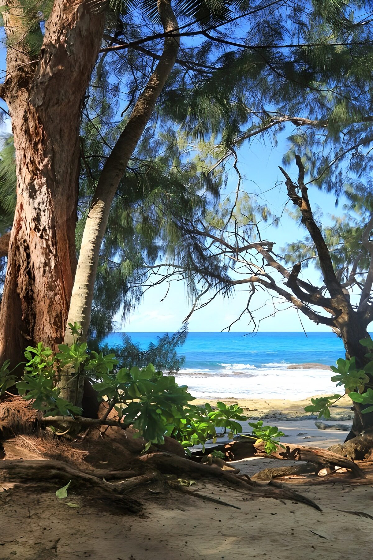 TPFR45454: Vue paisible sur la mer