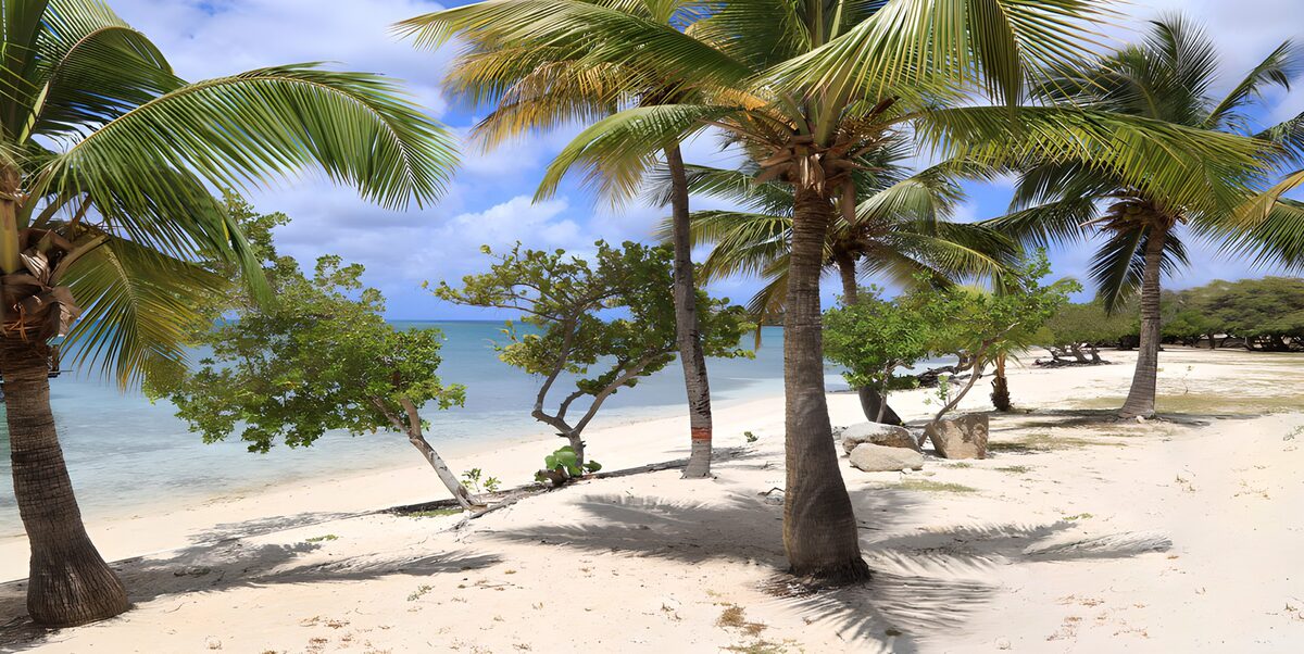 TPFR90015: Plage tropicale paisible