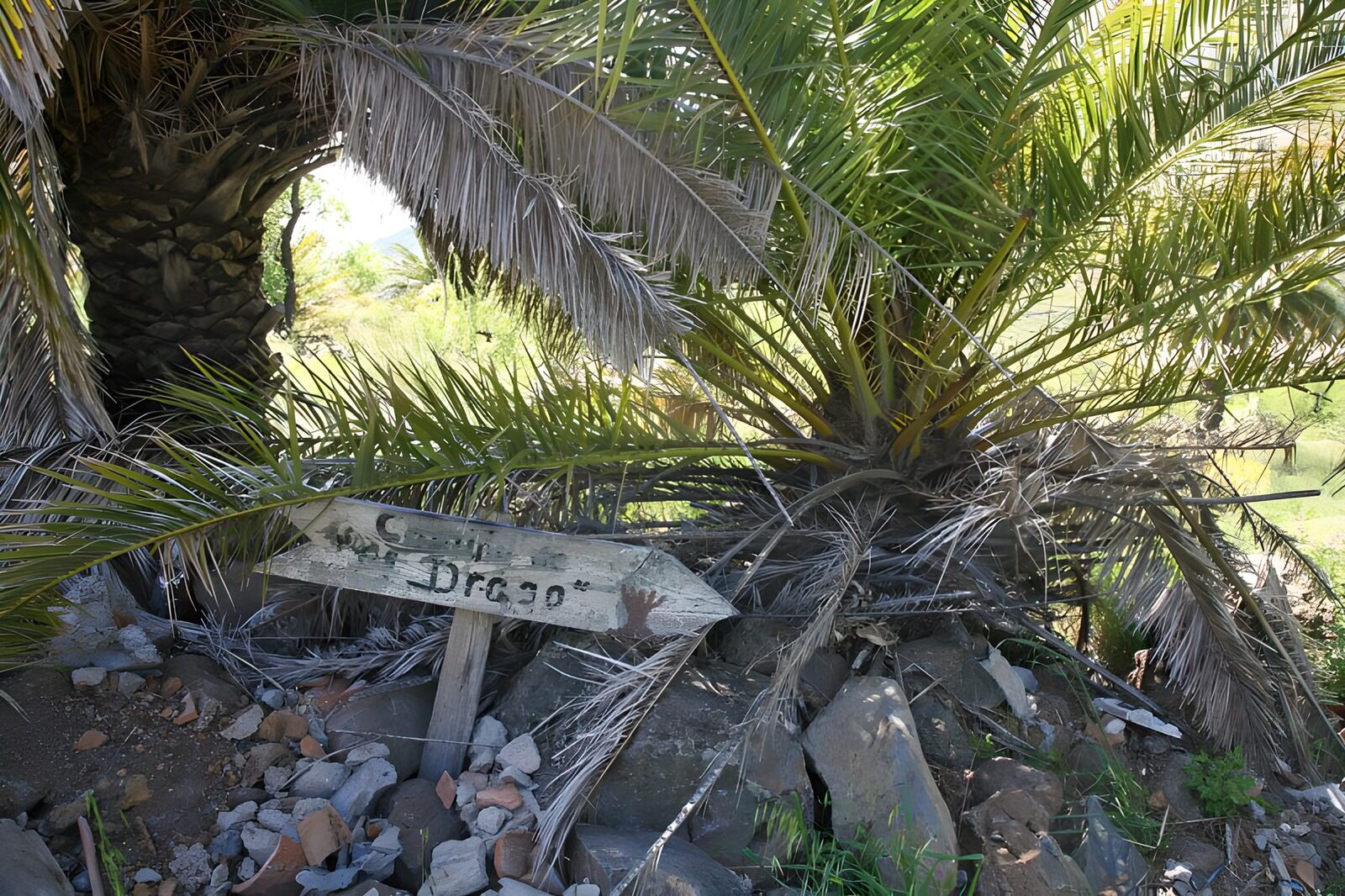 TPFR71337: La Gomera 34