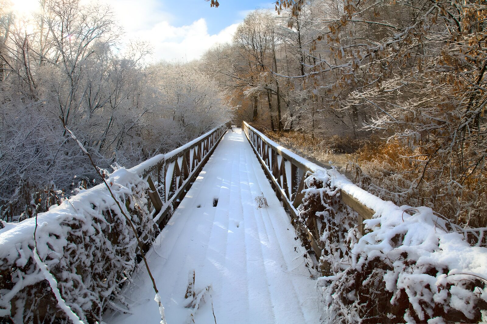 TPFR45615: Pont enneigé au cœur de la forêt