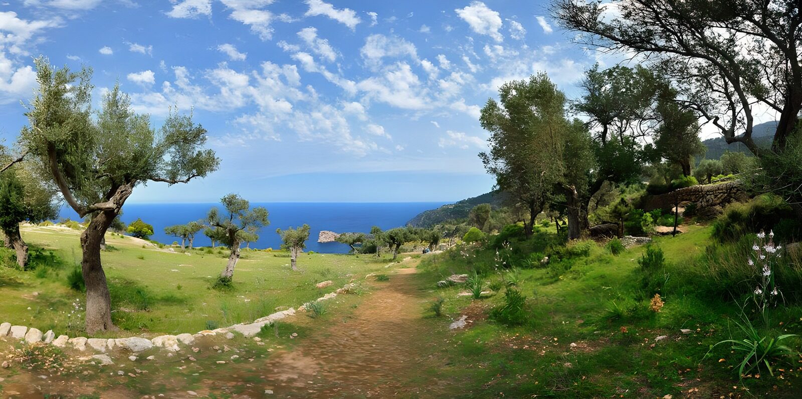TPFR38390: Paysage méditerranéen serein