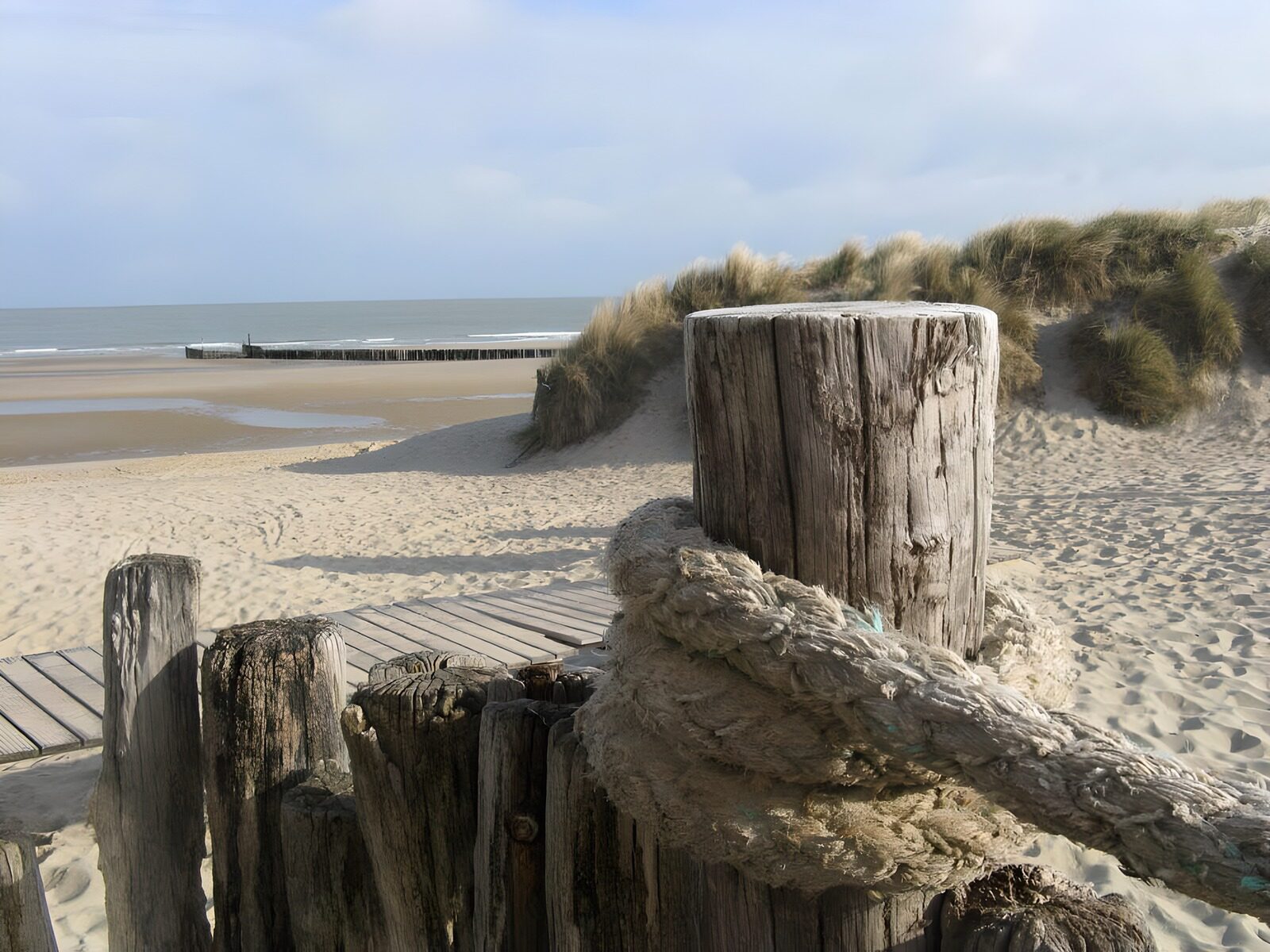 TPFR84409: Plage paisible avec des poteaux en bois