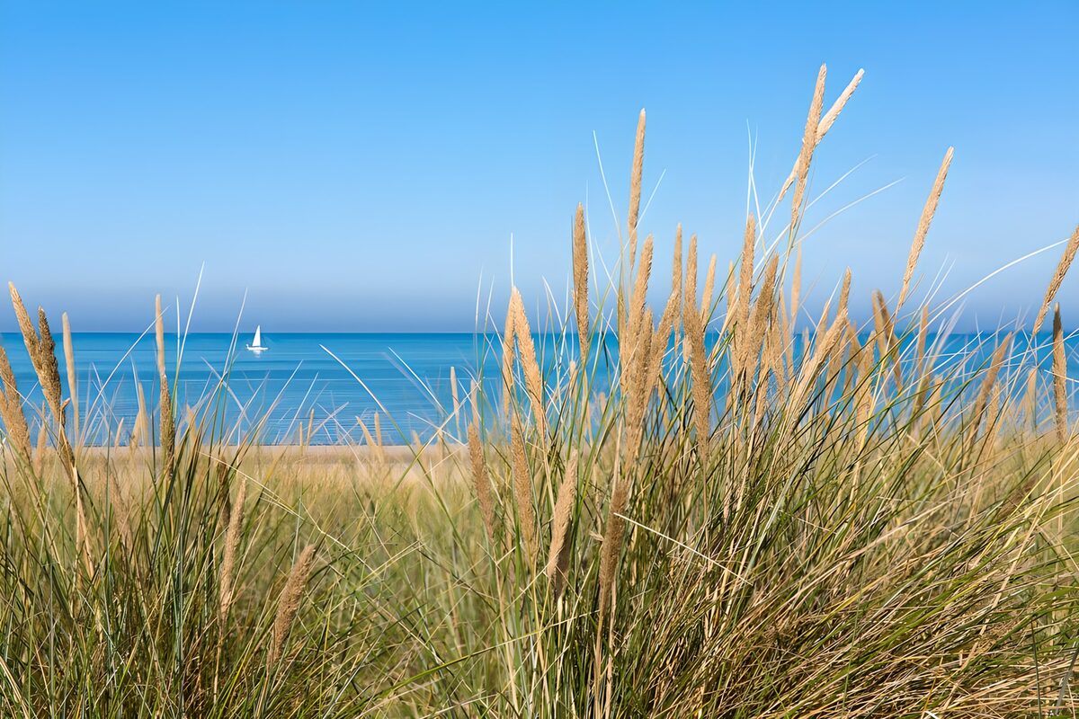 TPFR31822: Plage paisible sous le ciel bleu
