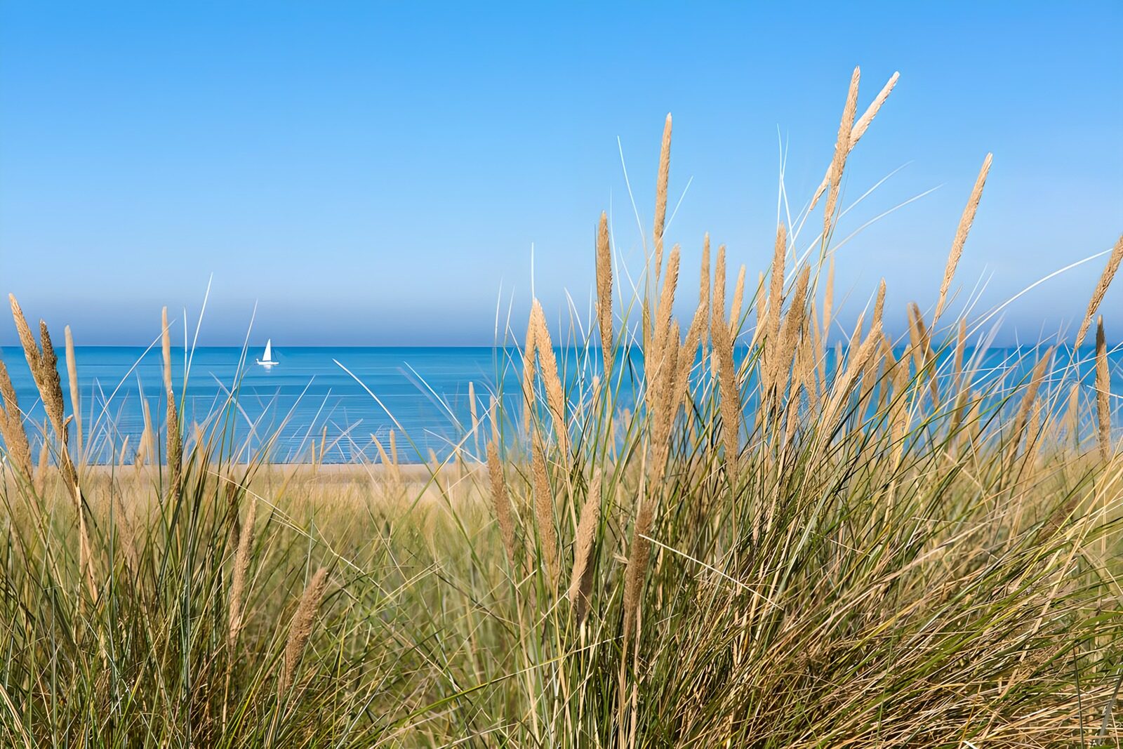 TPFR31822: Plage paisible sous le ciel bleu