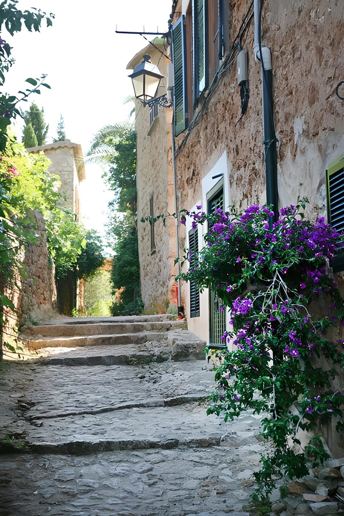 TPFR82266: Ruelle pavée dans un village aux maisons de pierre et porche en arrière-plan 6