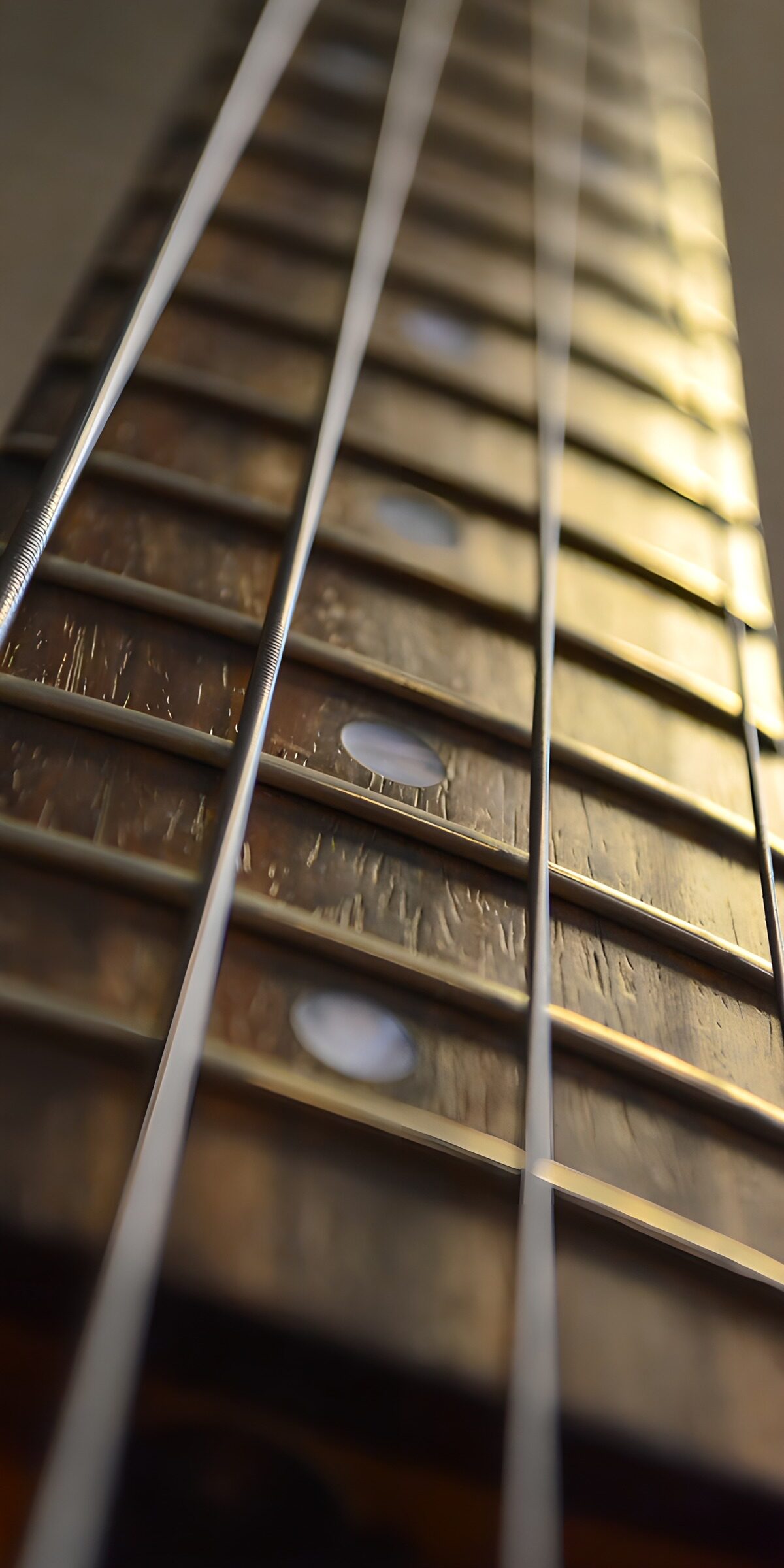 TPFR13250: Détails d'un manche de guitare