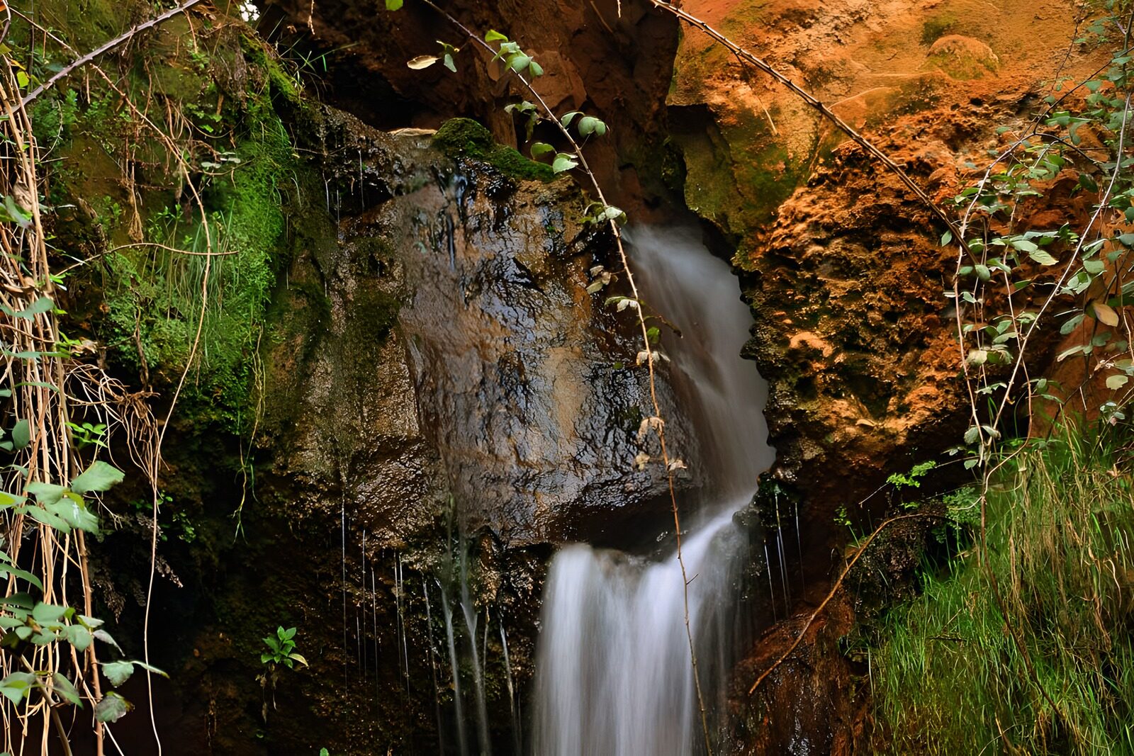 TPFR65482: Cascade paisible au cœur de la nature