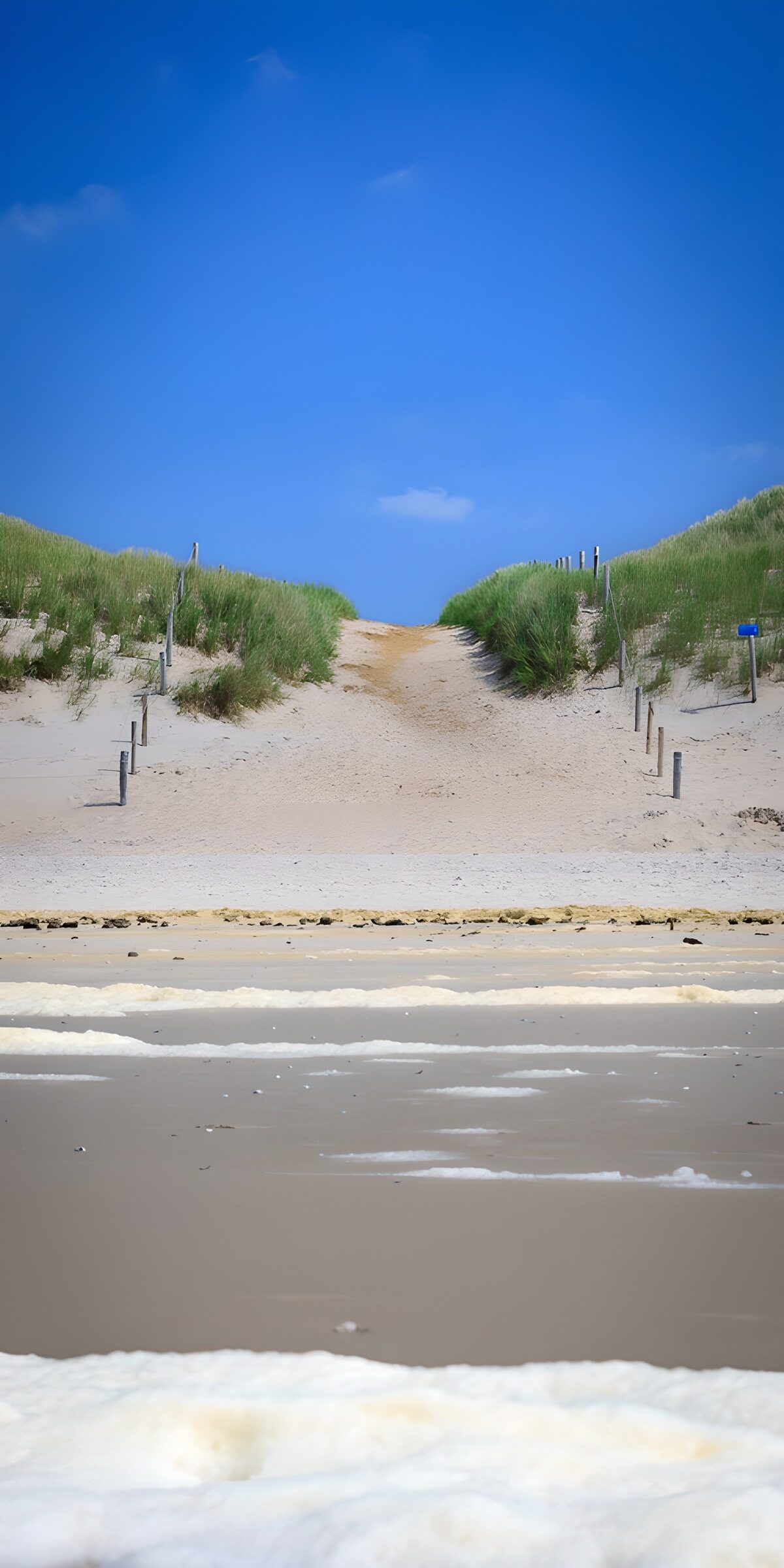 TPFR11983: Chemin vers la plage ensoleillée
