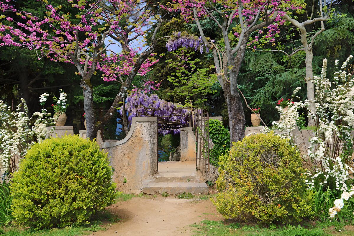 TPFR27873: Jardin fleuri au printemps
