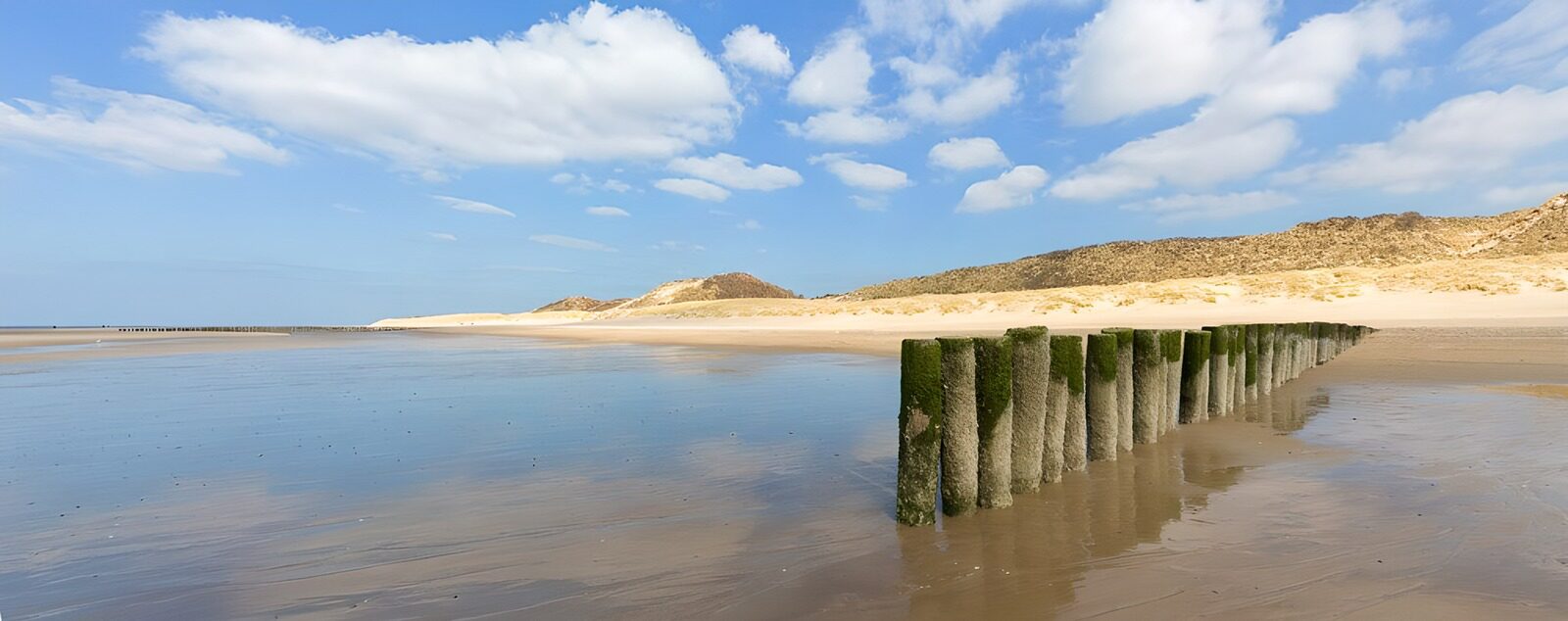 TPFR76349: Plage calme avec des pilotis