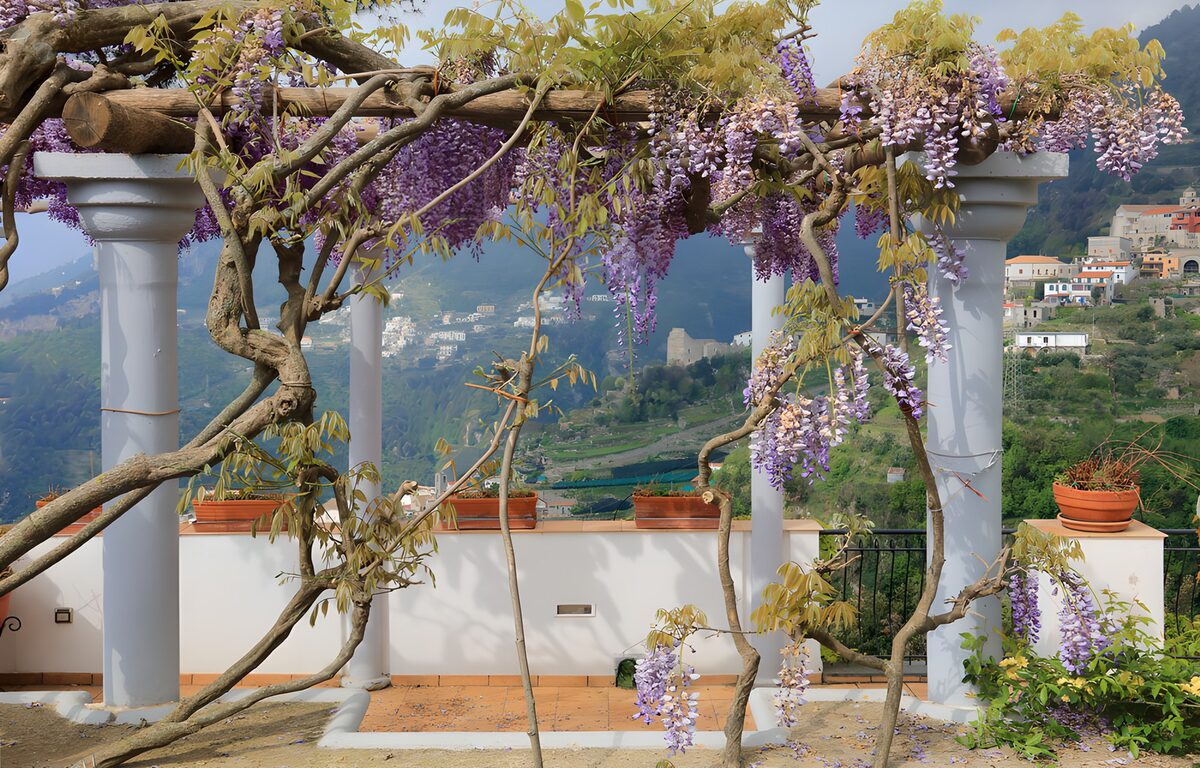 TPFR44025: Pergola fleurie en bord de mer
