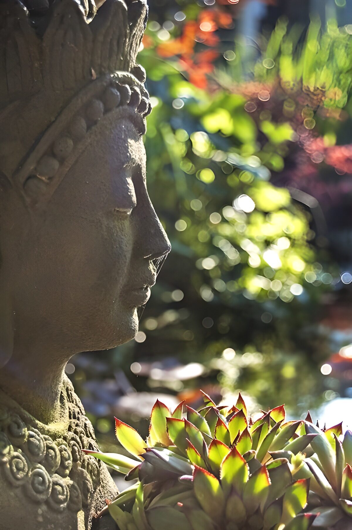 TPFR97530: Statue de Bouddha au Jardin Zen