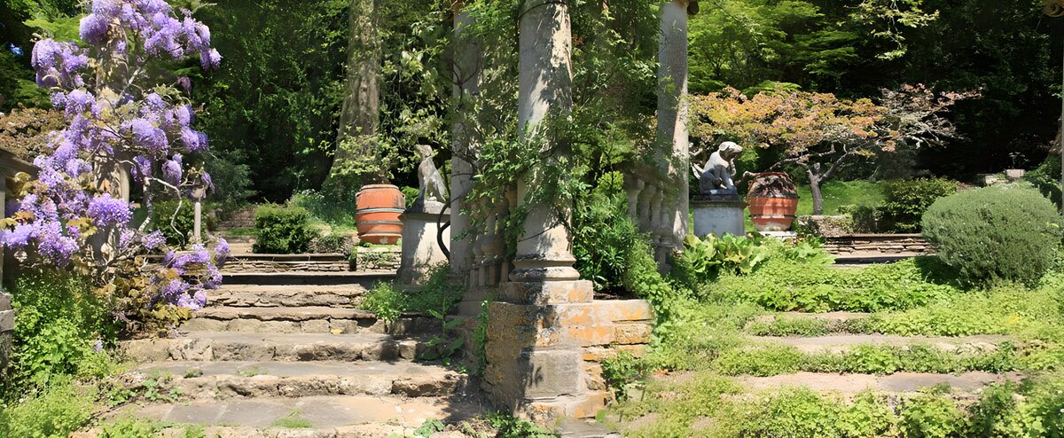 TPFR10446: Jardin paisible avec fleurs violettes