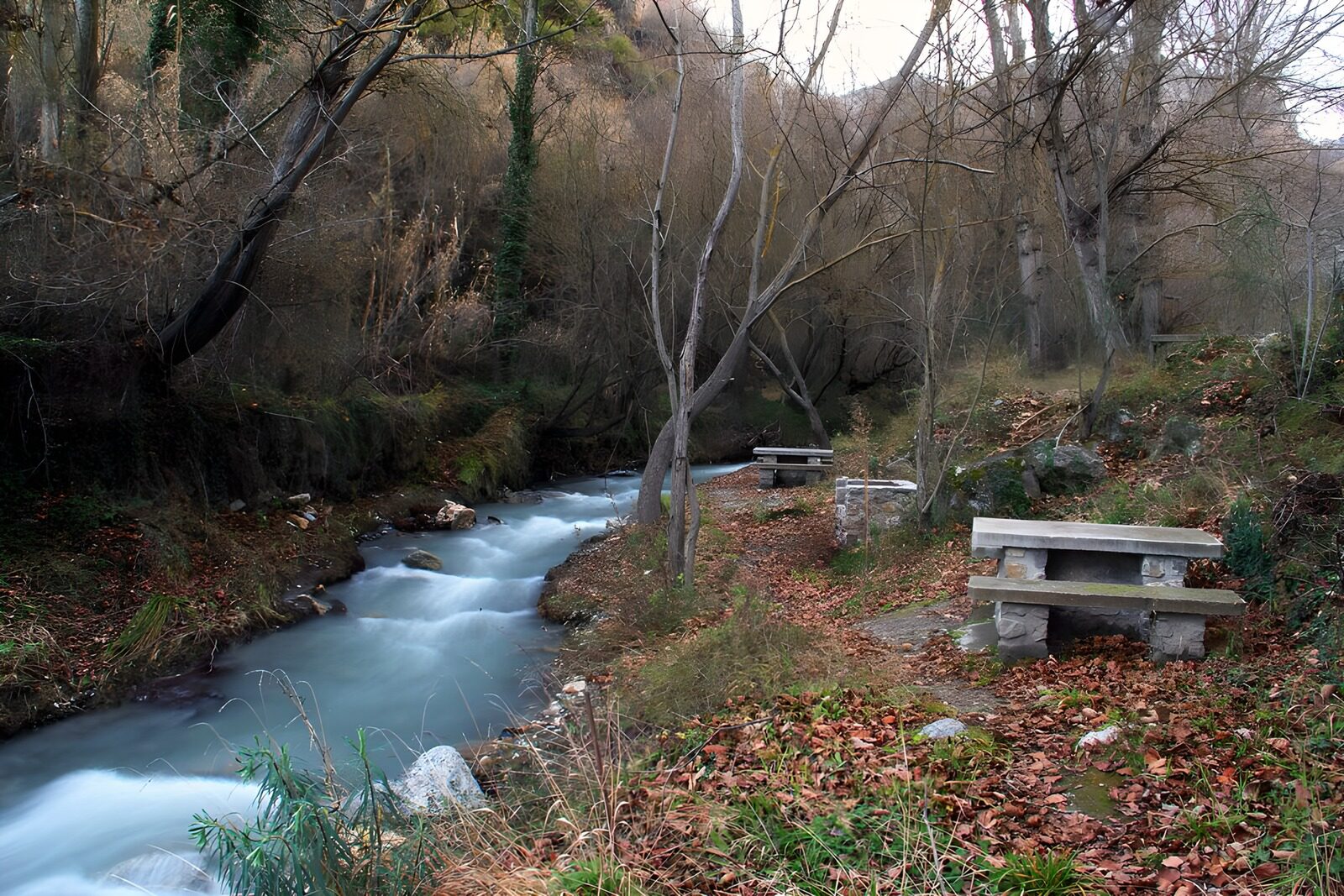 TPFR24094: "Rivière paisible au cœur de la nature"