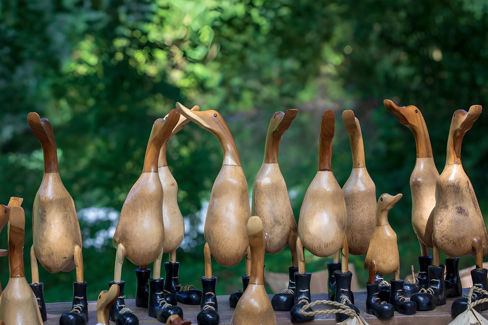 TPFR78930: Canards en bois élégants