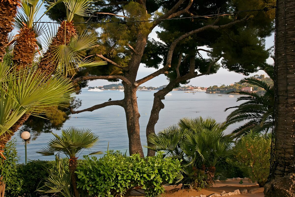 Vues sereines d'un bord de mer