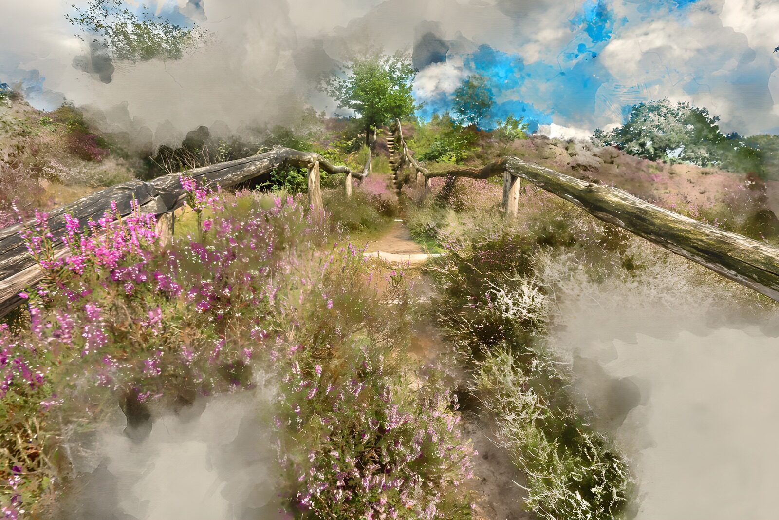 TPFR48683: Chemin fleuri dans la nature