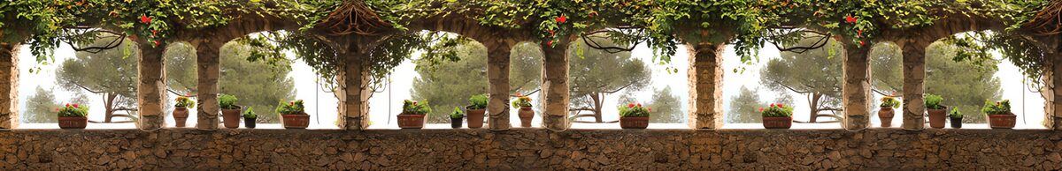 Arches fleuries au soleil