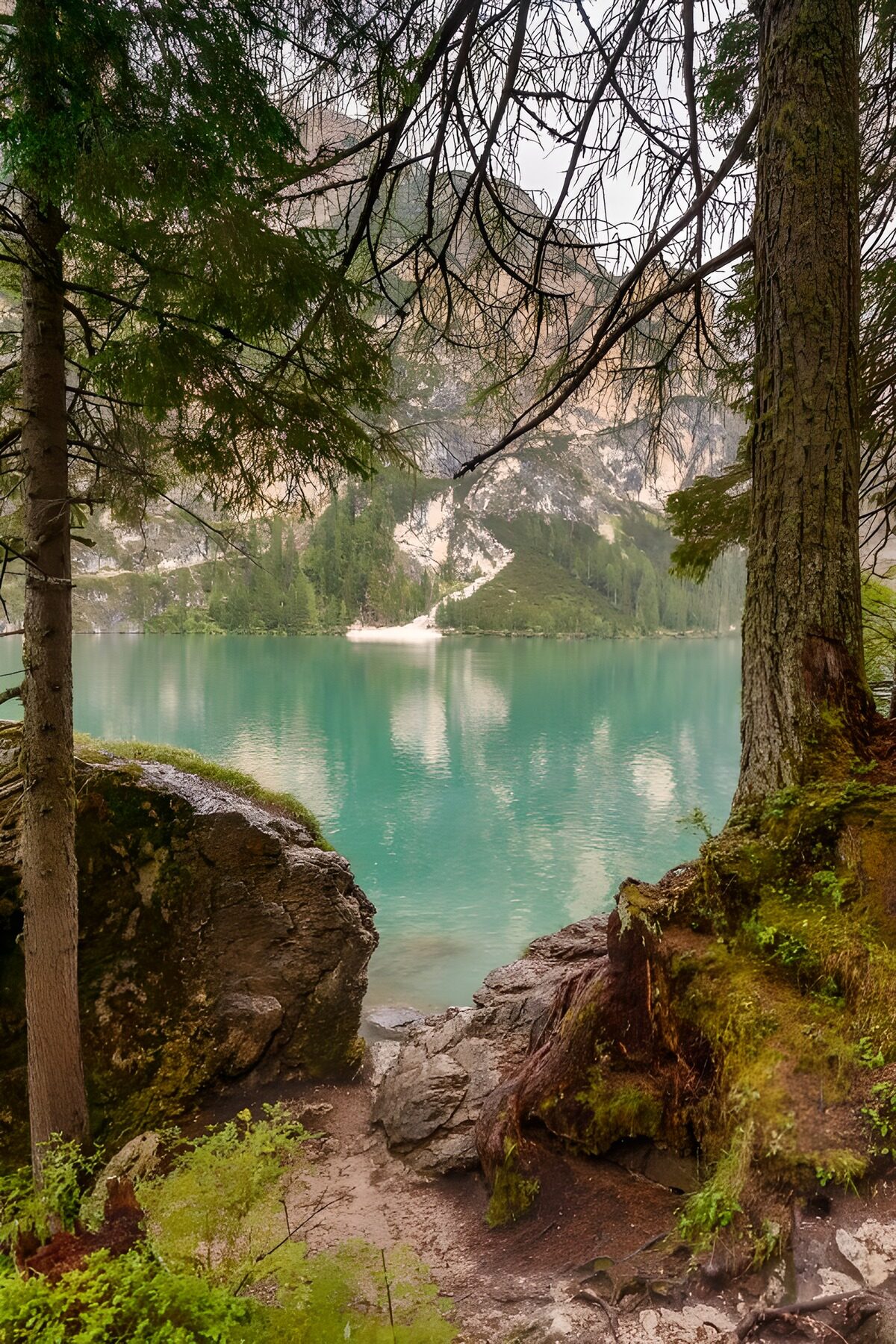 Lac paisible au milieu des montagnes