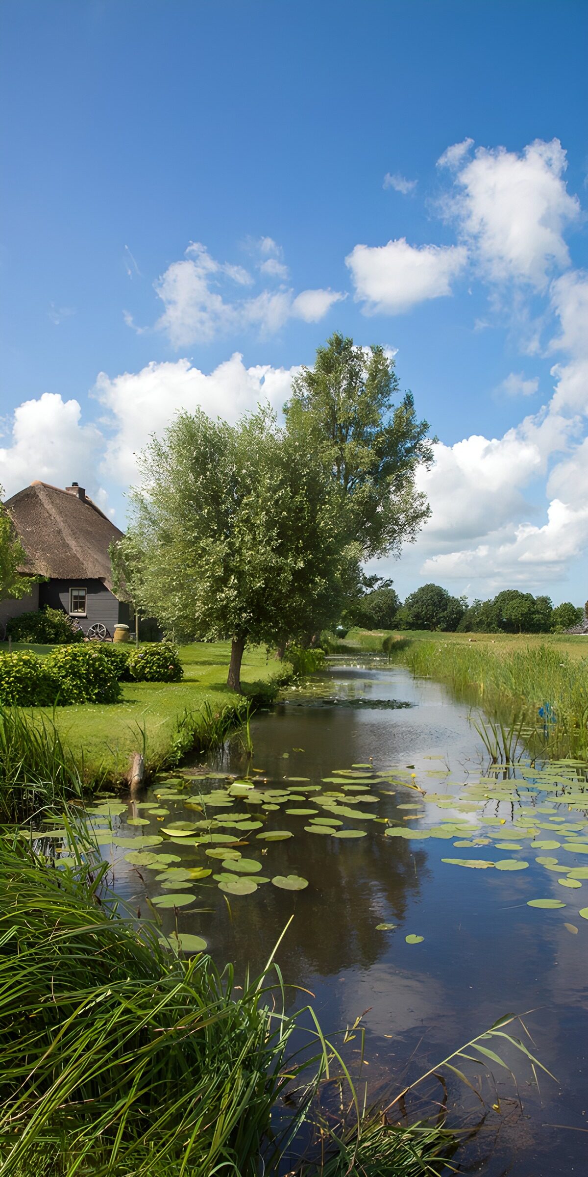 TPFR61135: Paysage paisible d'été en Hollande