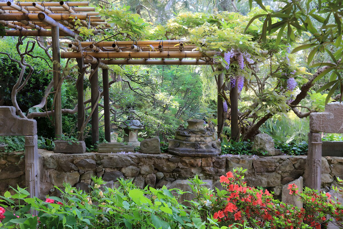 Jardin Zen et Pergola Fleurie