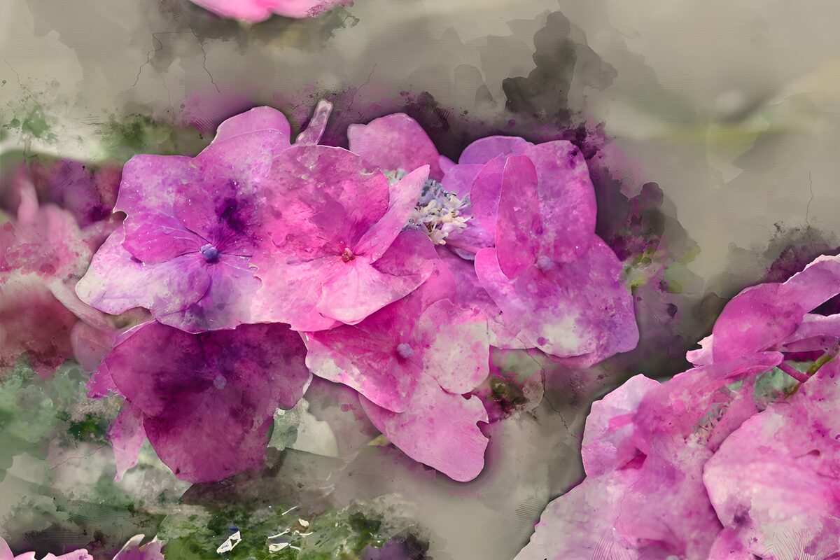 TPFR95997: Fleurs roses délicates en aquarelle
