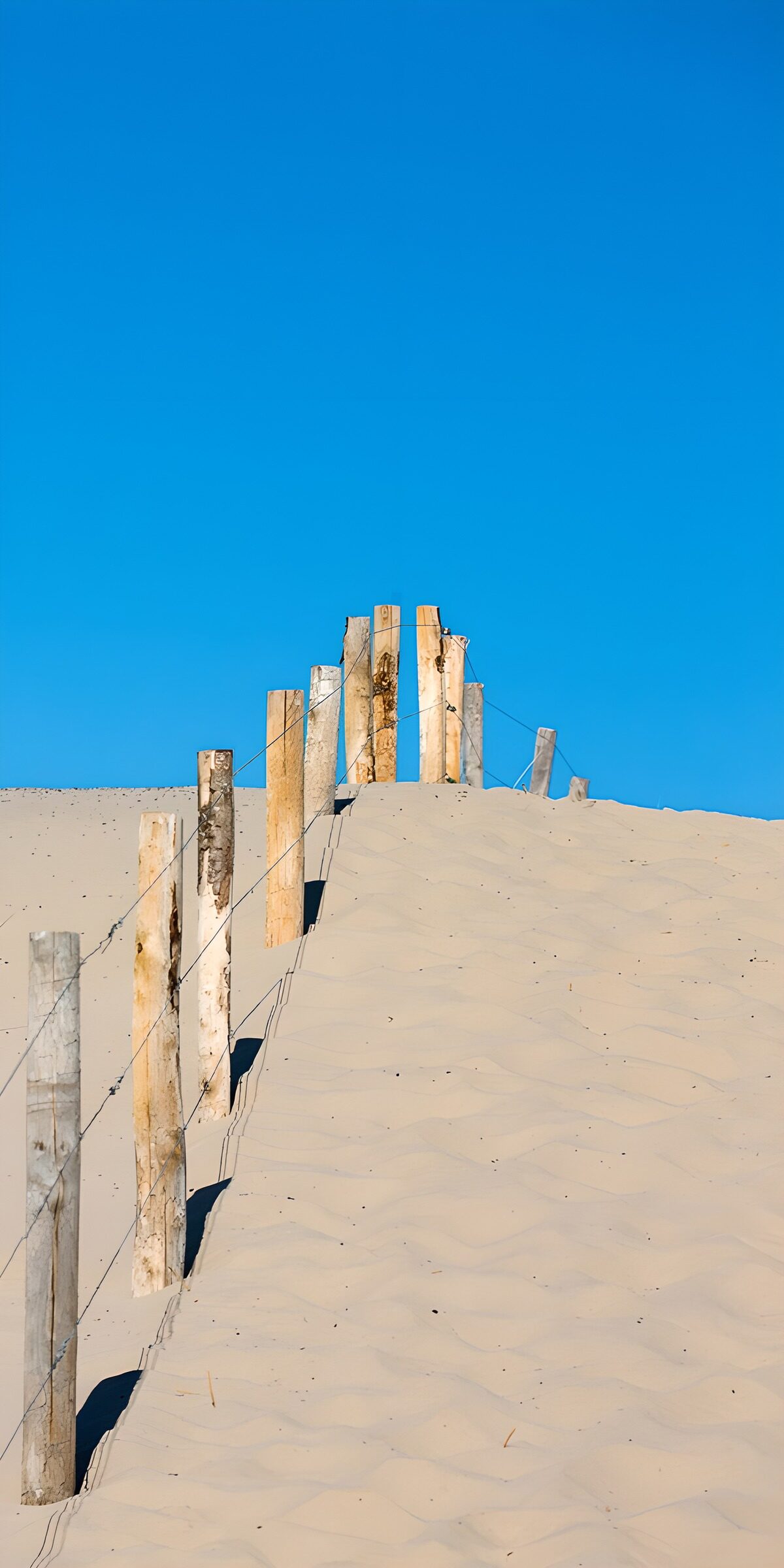 TPFR73996: Clôture sur une dune de sable