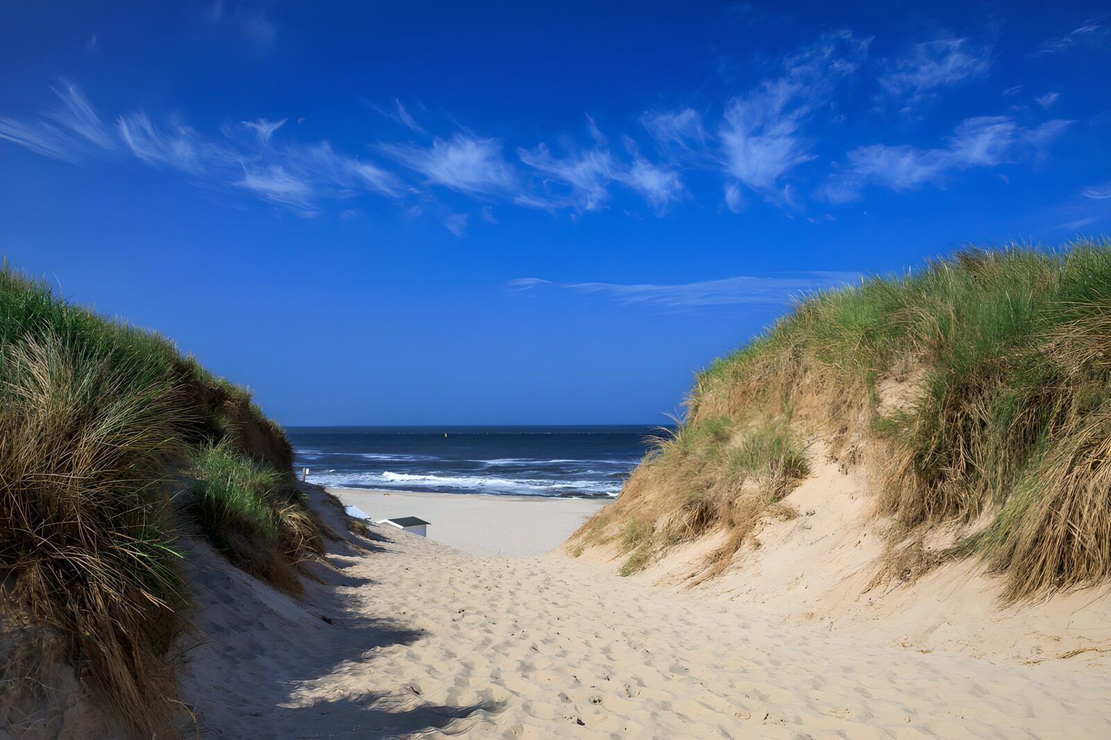 TPFR67987: Plage ensoleillée entre les dunes