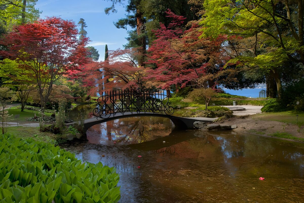 Jardin paisible avec pont charmant