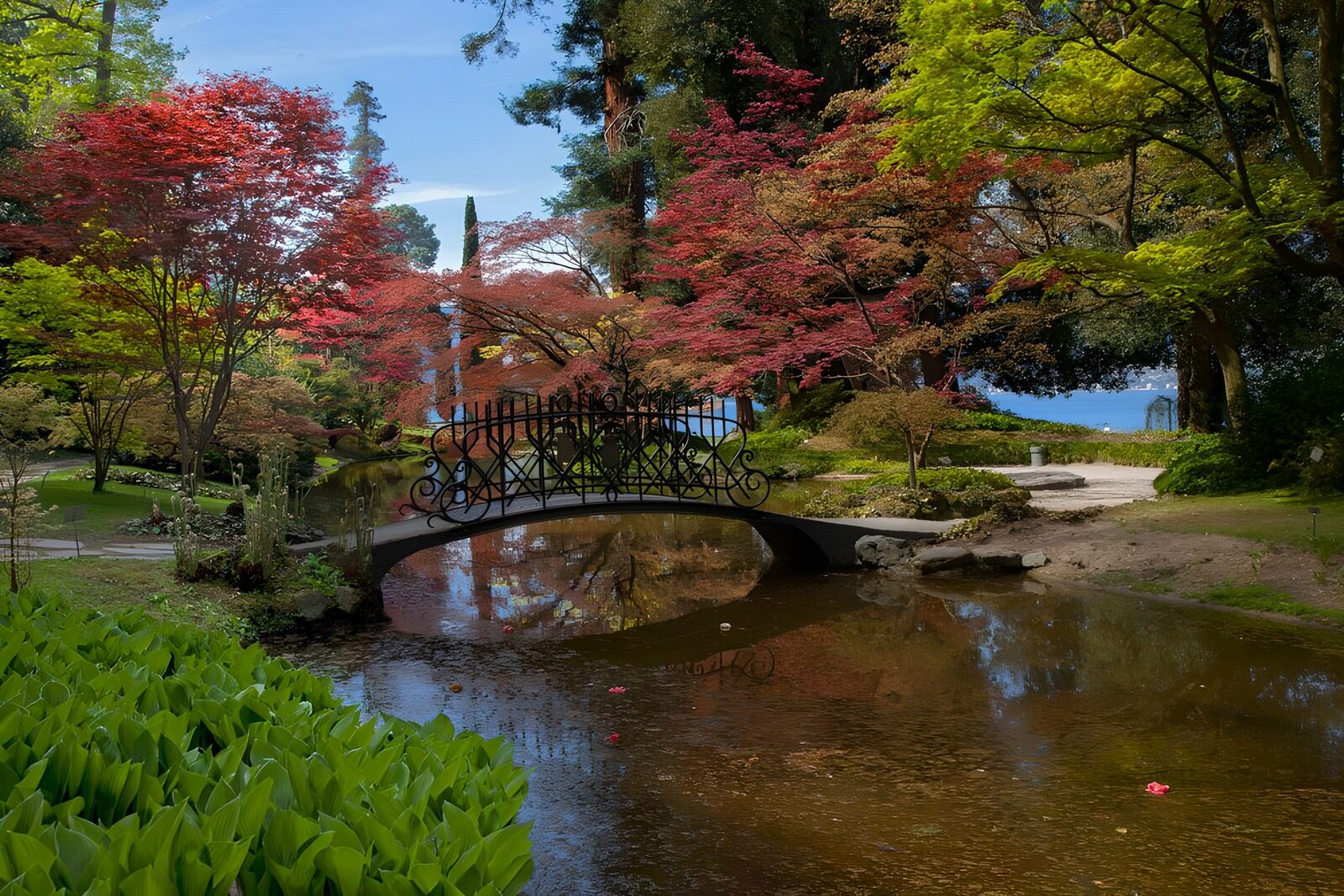 TPFR30931: Jardin paisible avec pont charmant