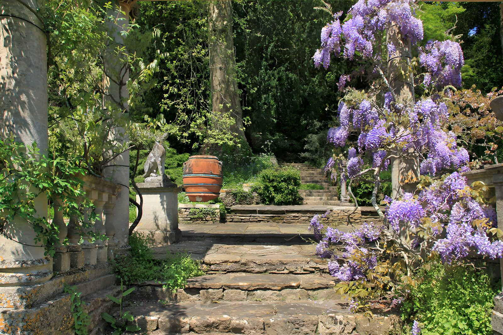 TPFR75425: Escaliers fleuris d'un jardin paisible