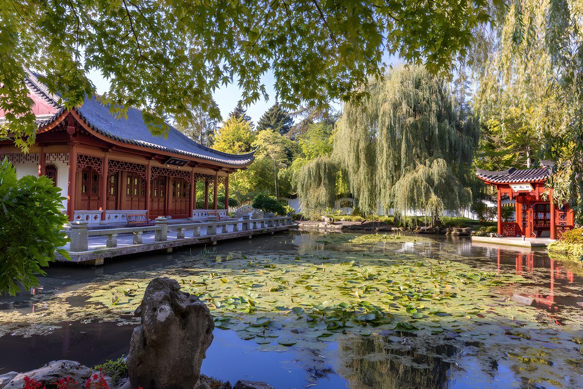 Jardin paisible avec pavillon traditionnel