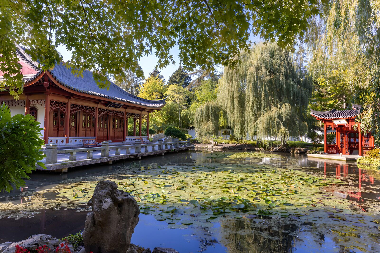 TPFR86363: Jardin paisible avec pavillon traditionnel
