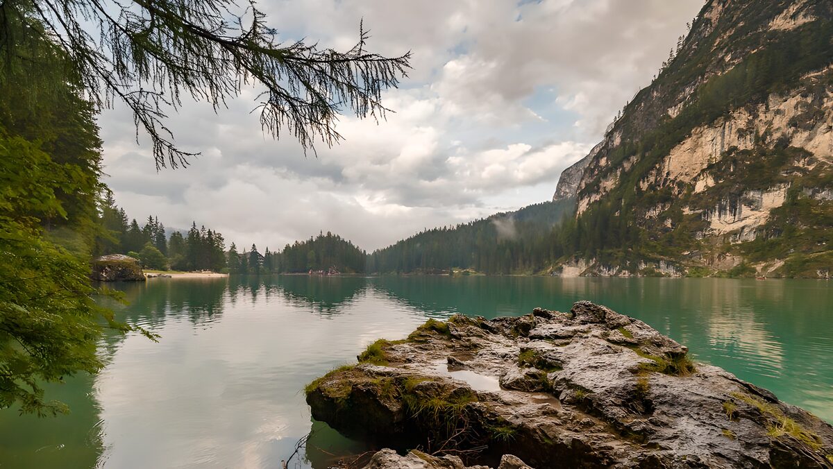 Paysage paisible au bord du lac