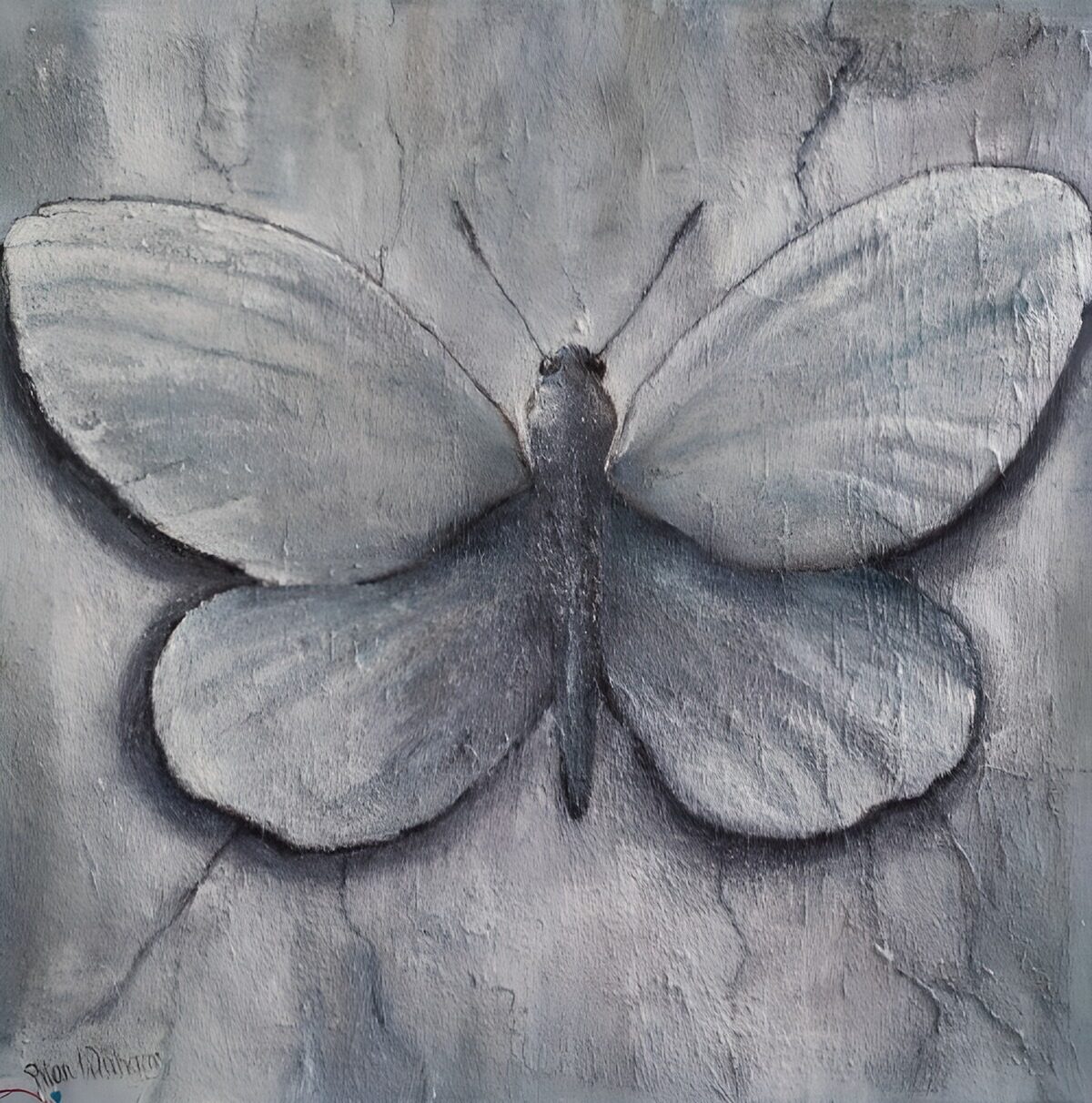 TPFR31912: Papillon sur mur vieilli