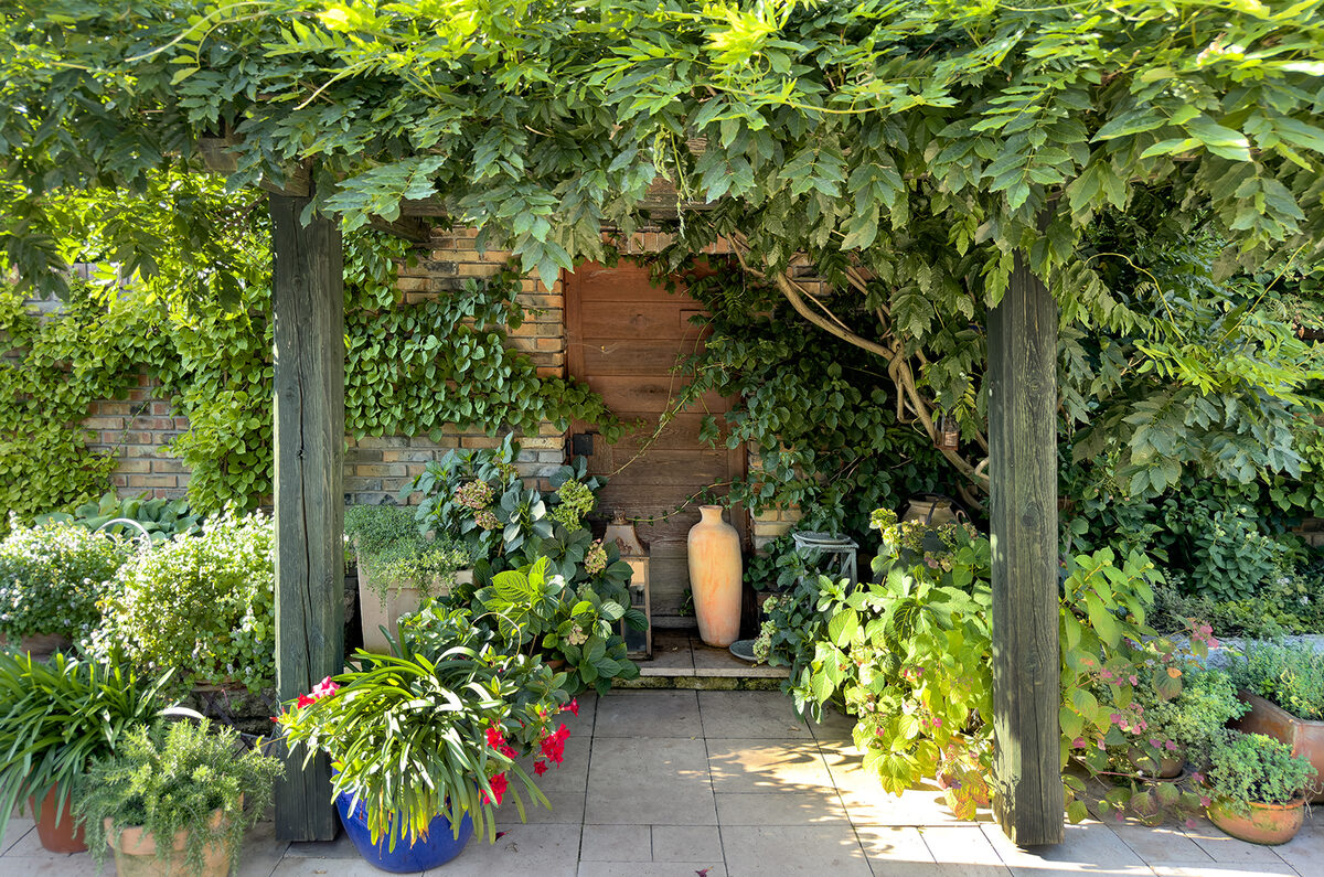 TPFR94561: Patio ombragé luxuriant